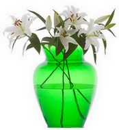 green vase with white flowers