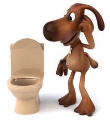 dog looking at toilet