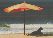 dog on beach