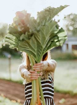 girl holding a bunch of freshly picked rhubarb