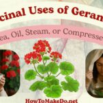 medicinal uses of geraniums
