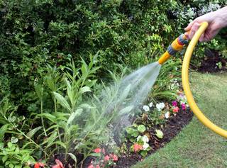 watering flowers with a garden hose