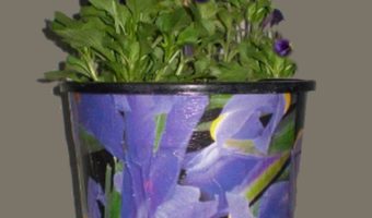 decoupaged plastic pot with pansies