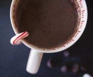 mug of hot chocolate with candy cane