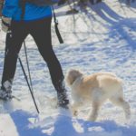walking with dog in winter