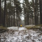 running through light snow in winter