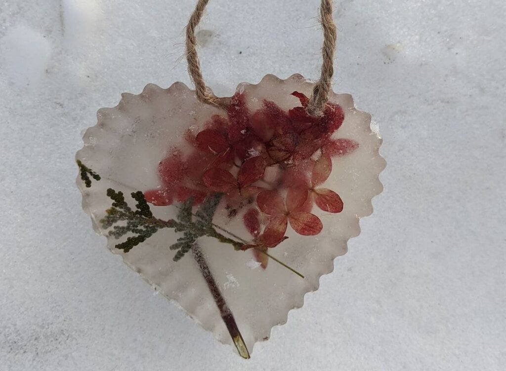 heart shaped ice ornament